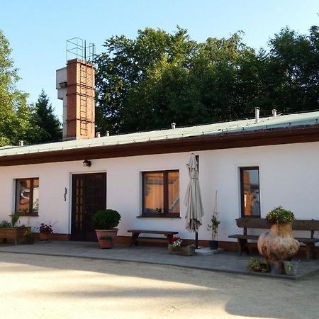 Wanderunterkunft Wachbergbaude زبنيتس المظهر الخارجي الصورة